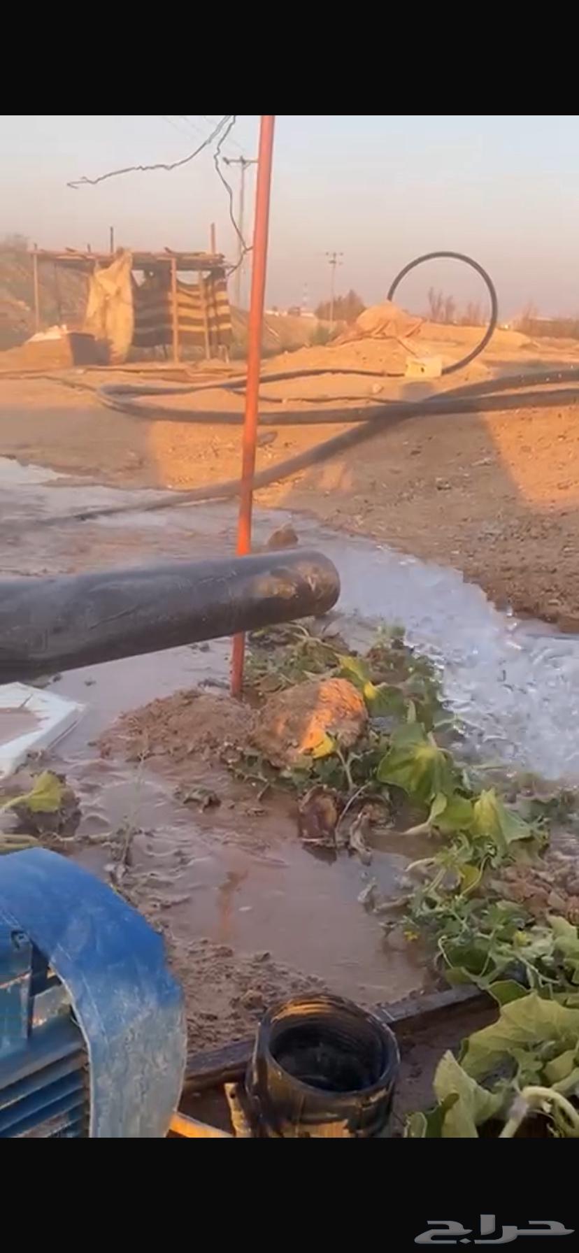 دينمو ايطالي 8حصان64462896335489111