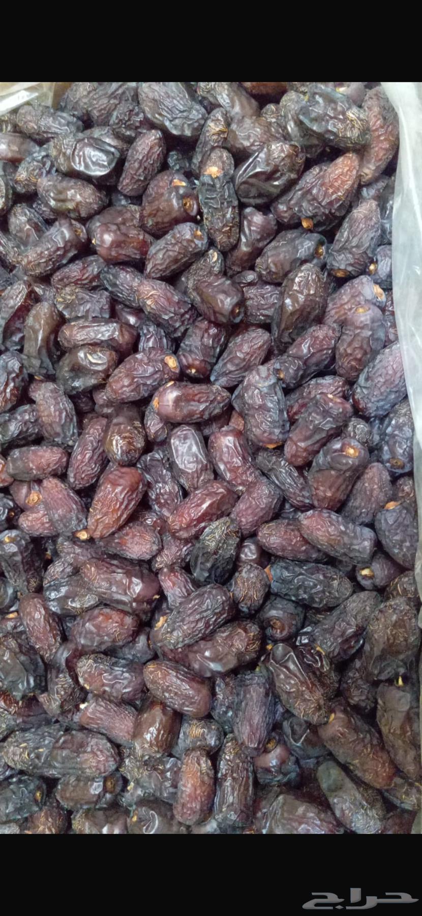 Safawi Dates64460365667074110