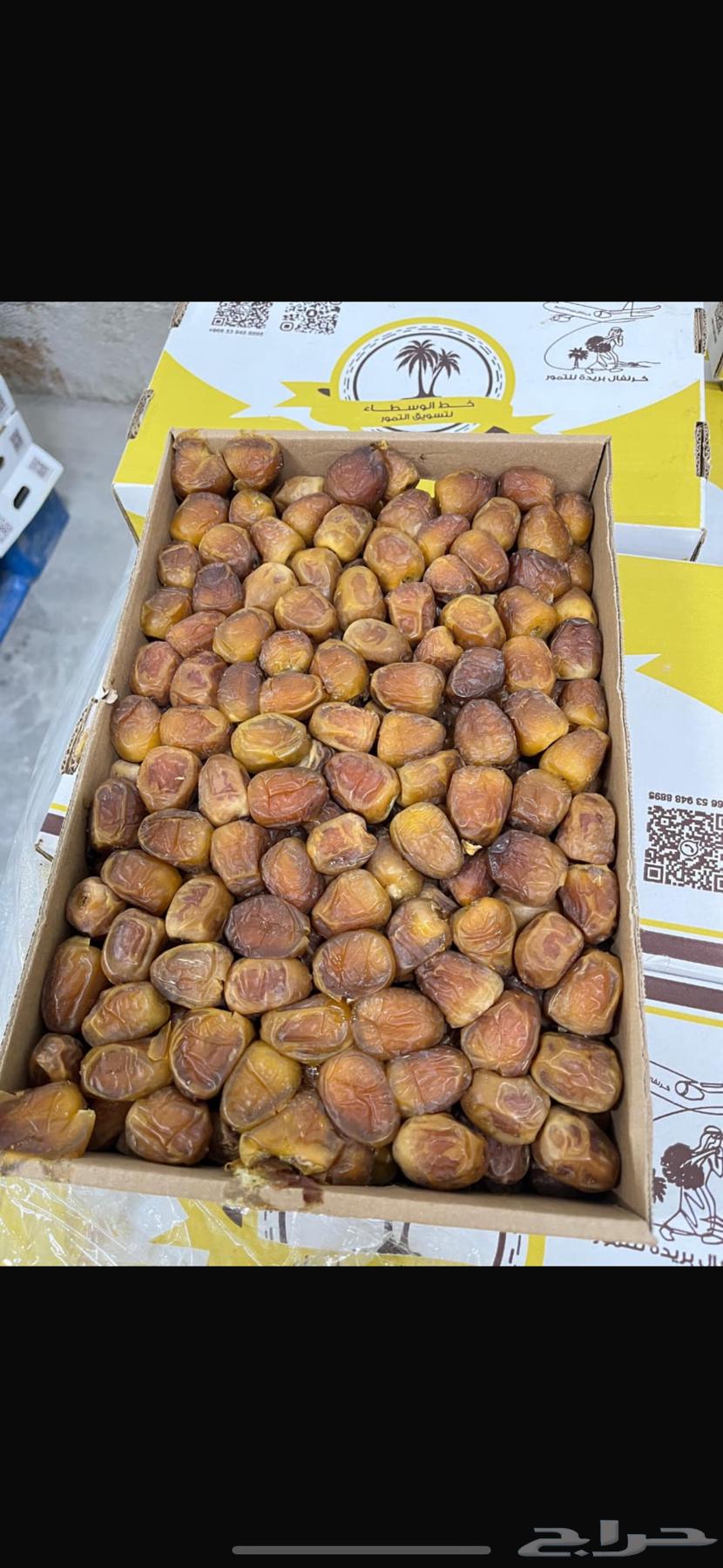 Sukkari Dates64461815371267110