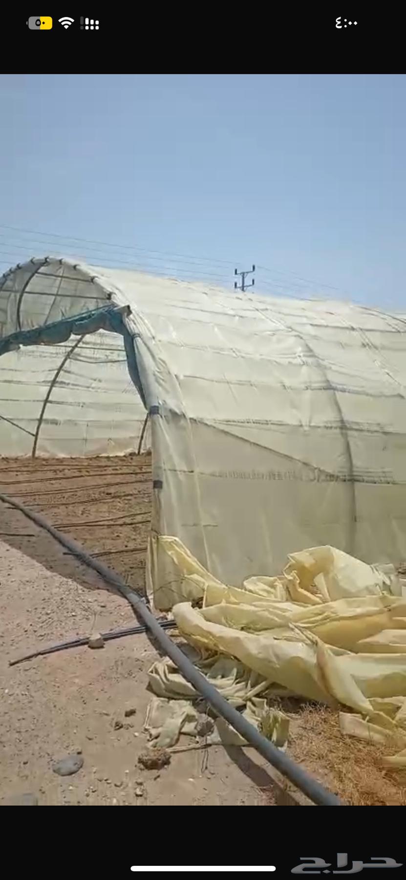 بيوت محميه للبيع64460871185794113