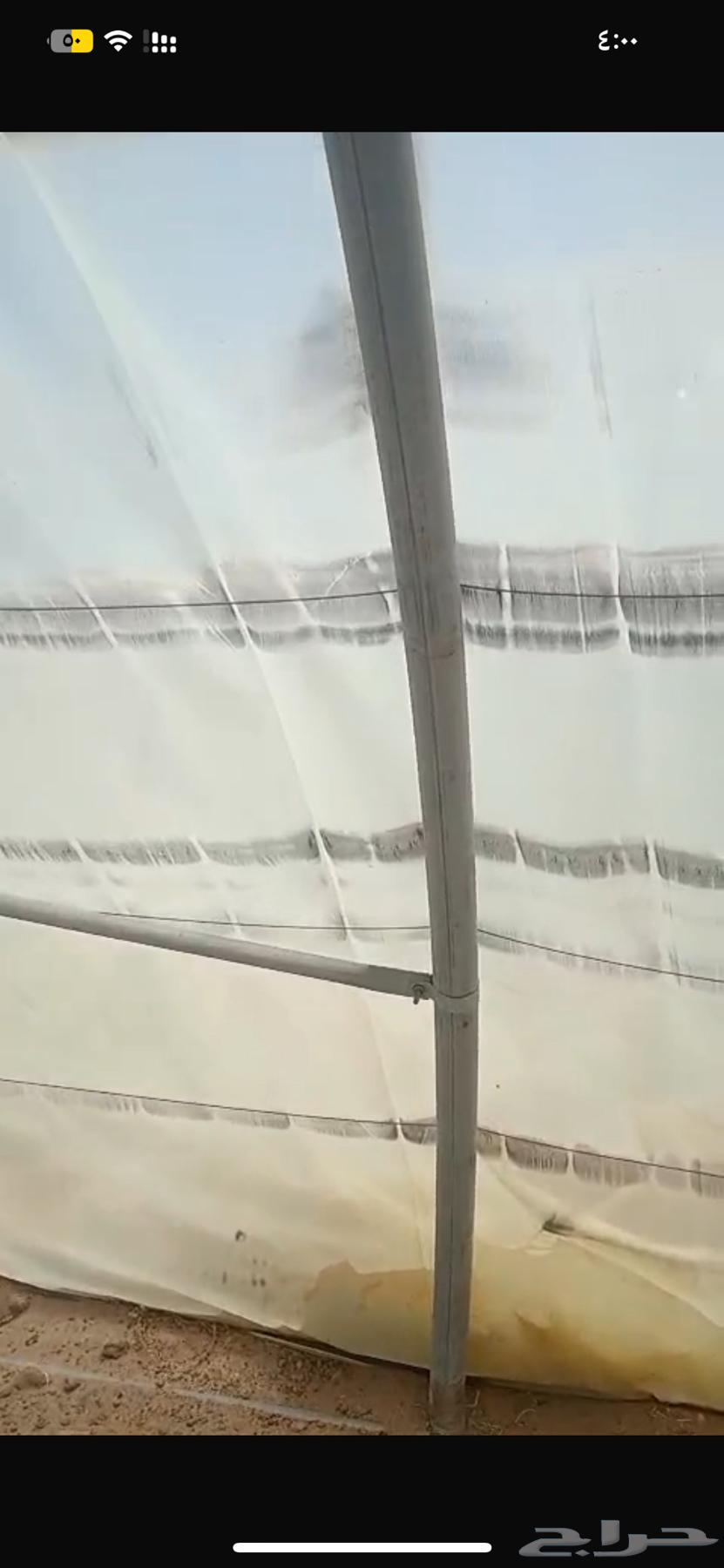 بيوت محميه للبيع64460871185794112