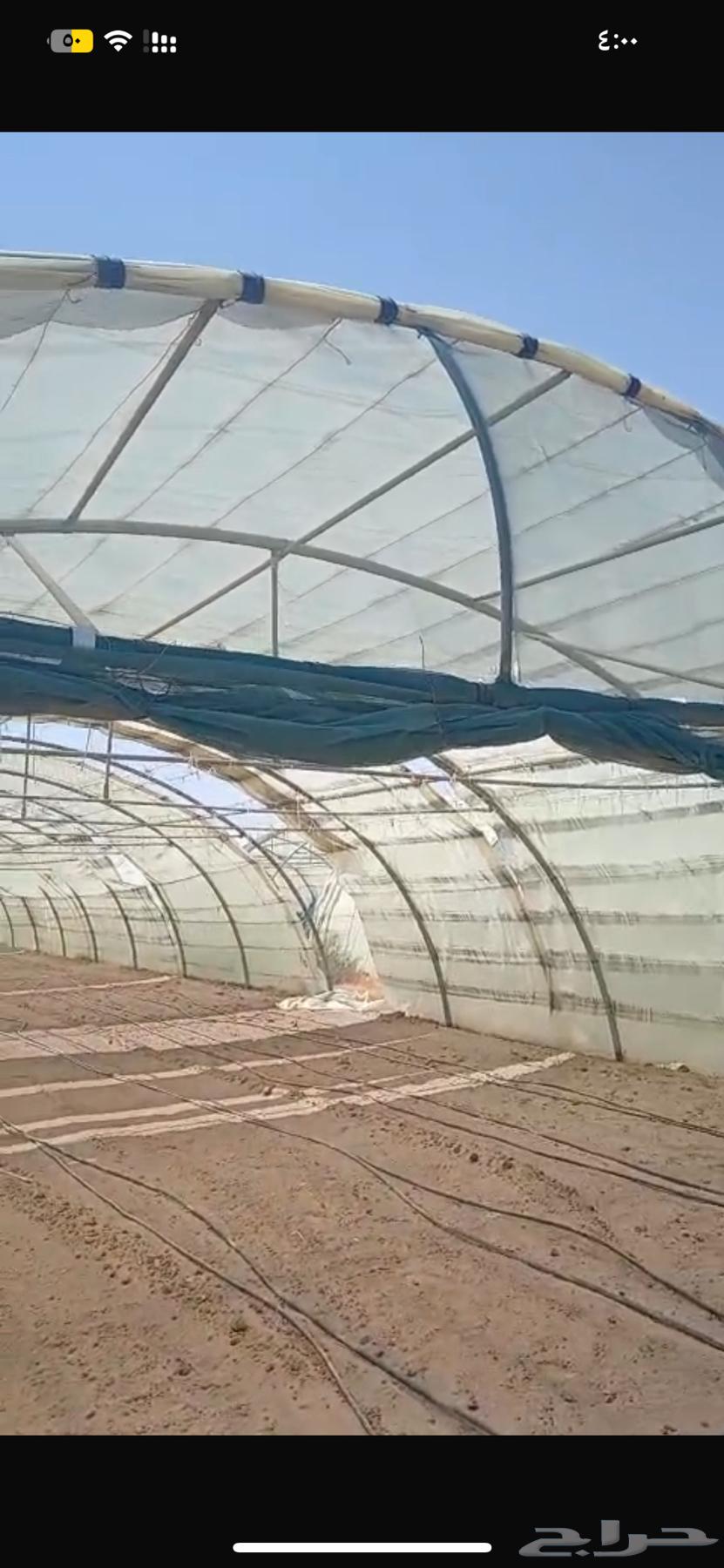 بيوت محميه للبيع64460871185794114