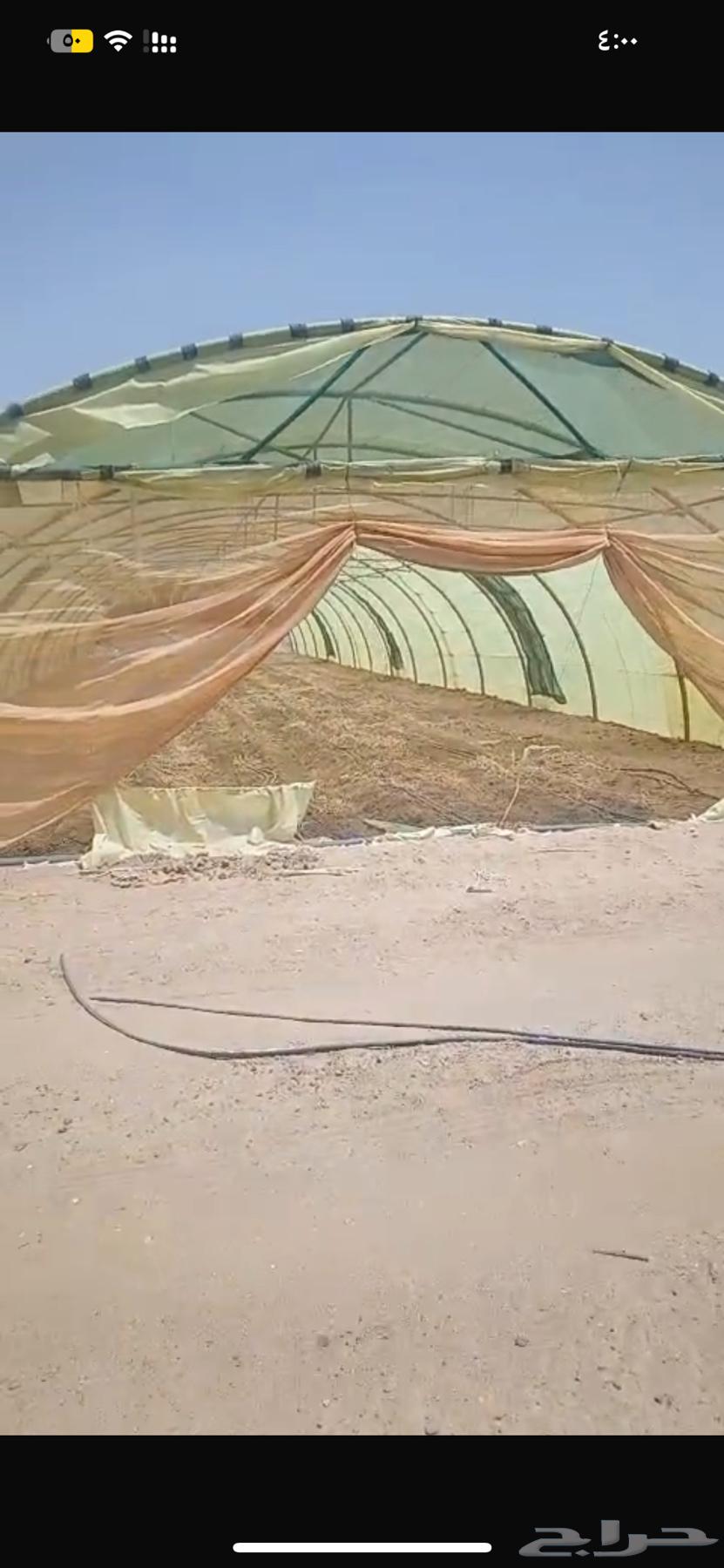 بيوت محميه للبيع64460871185794111