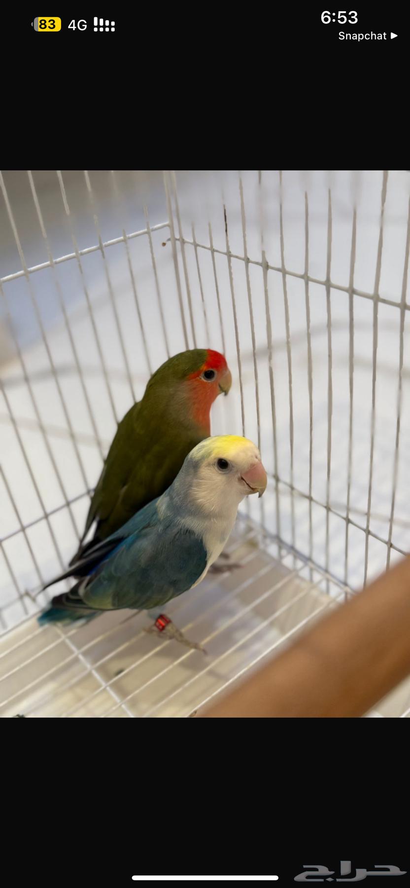 A good day of production, MashaAllah64457418914817113