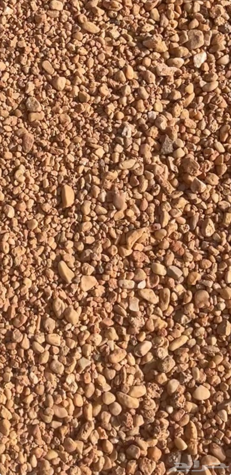 خرصان مرو حصم جميع الأنواع64460967518338114