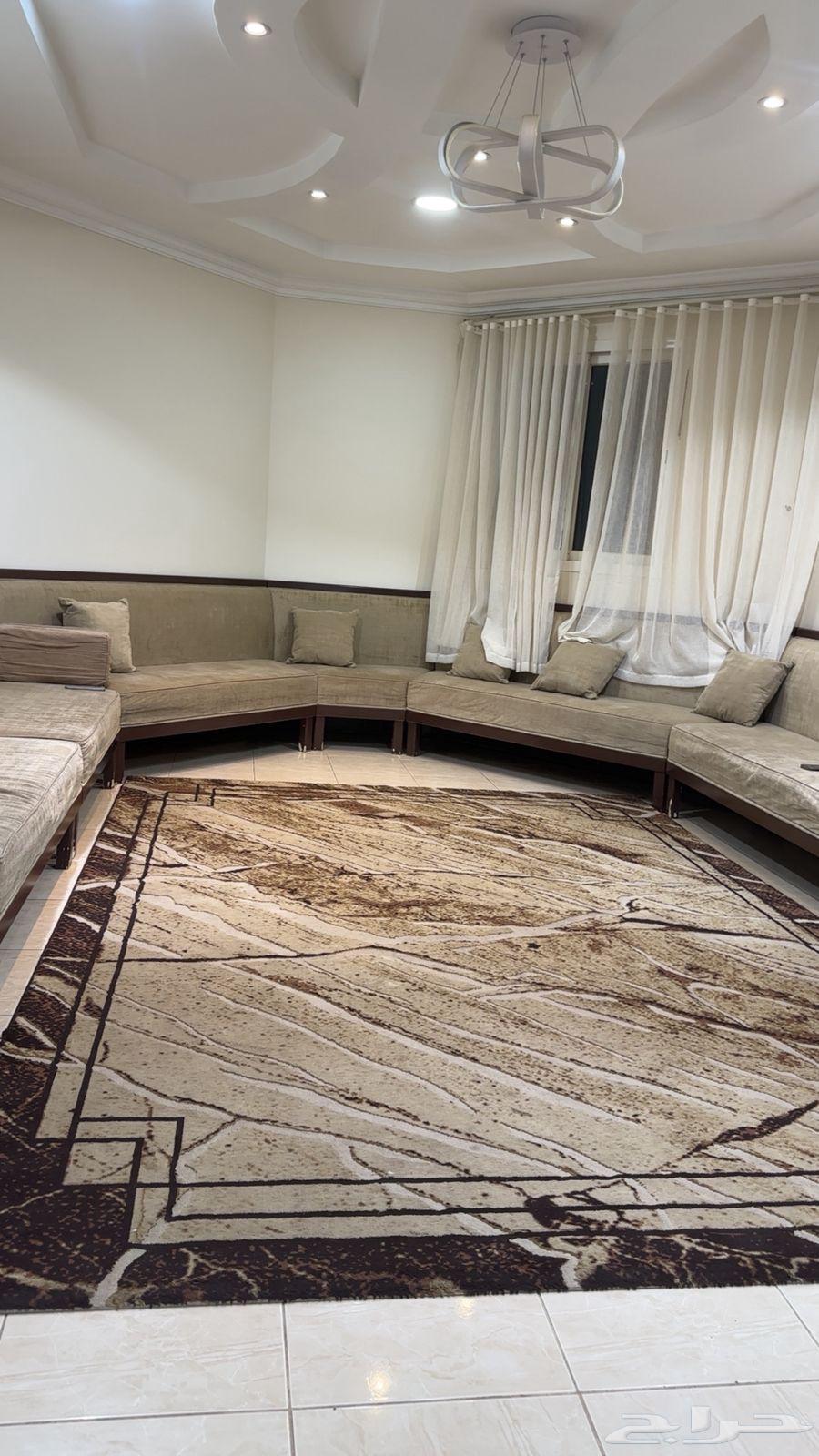 Complete hall with sofa and carpet64461145417986111