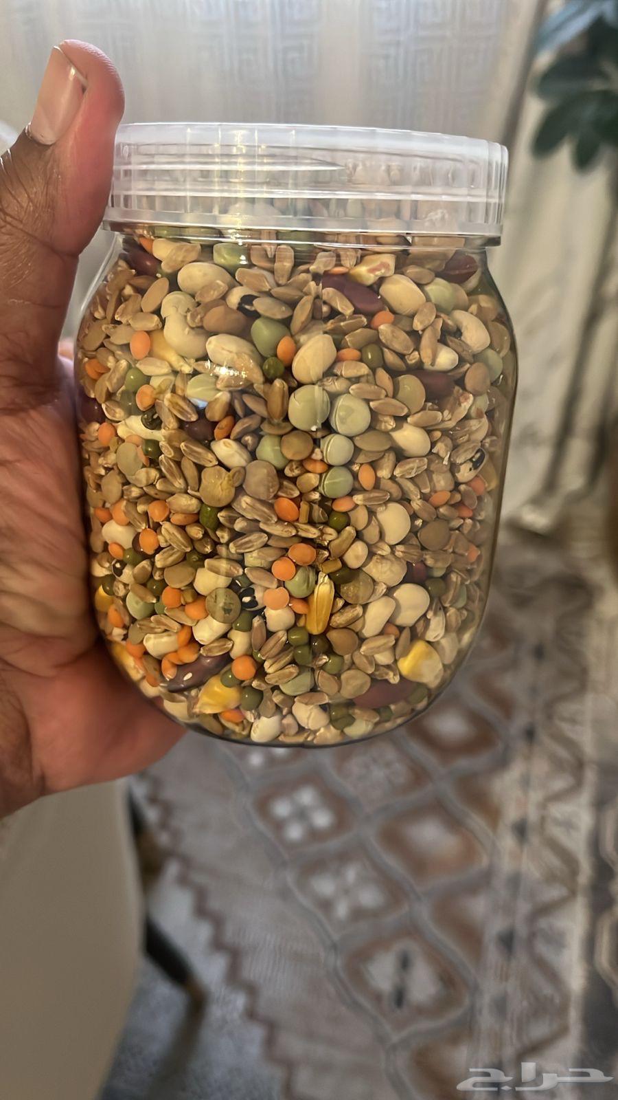 Bird Soak64459005709058111