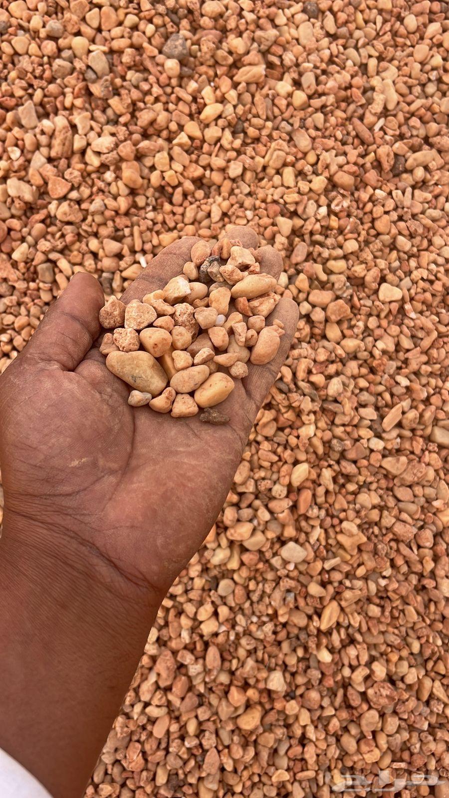 خرصان مرو حصم جميع الأنواع64460967518338112