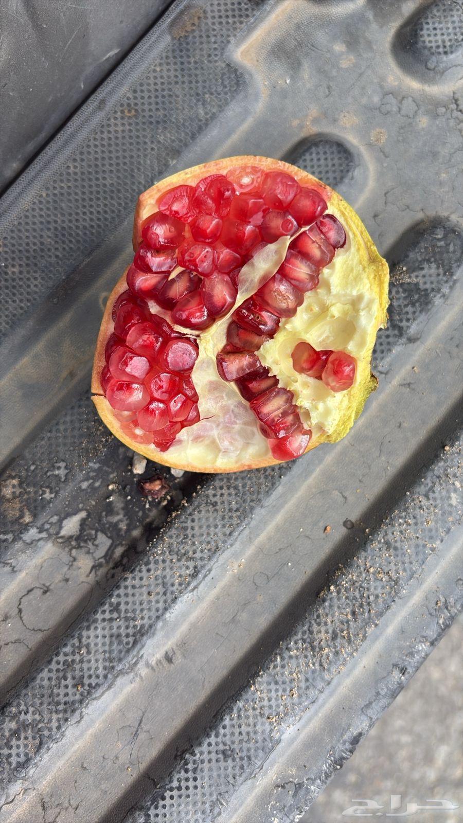 Red and fresh Taif pomegranate from Sarat Ubaida64461063024642110