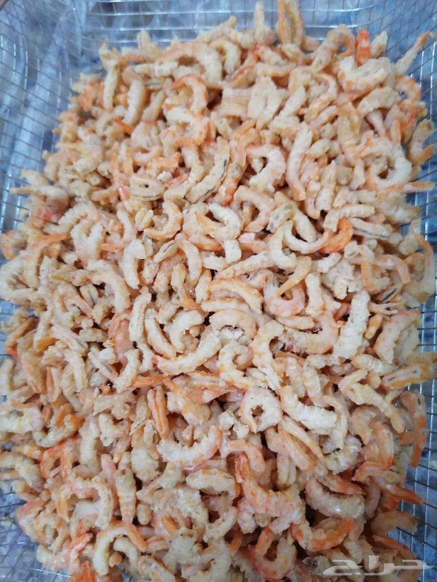 ربيان مجفف بدون قشر درجة أولى64458393277313110