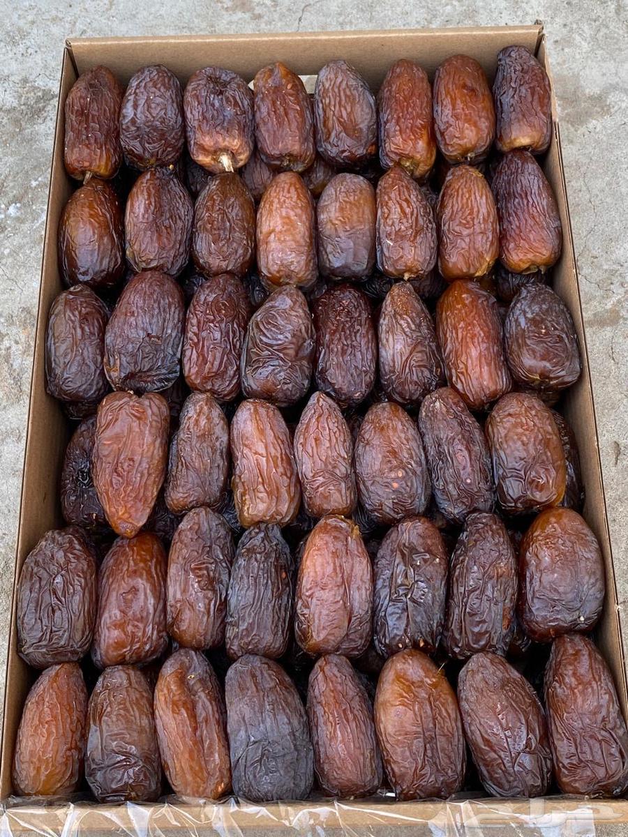 Jumbo Majdool, Grade 1, Grade 3, and Sukkari from our farms' production 2025-144764420742779650110