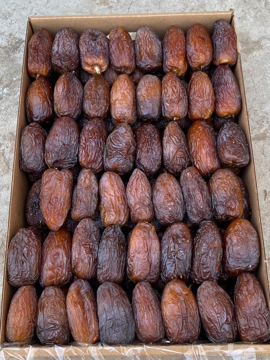 مجدول جامبو و درجة اولى انتاج مزارعنا 2025 144764457641480195110