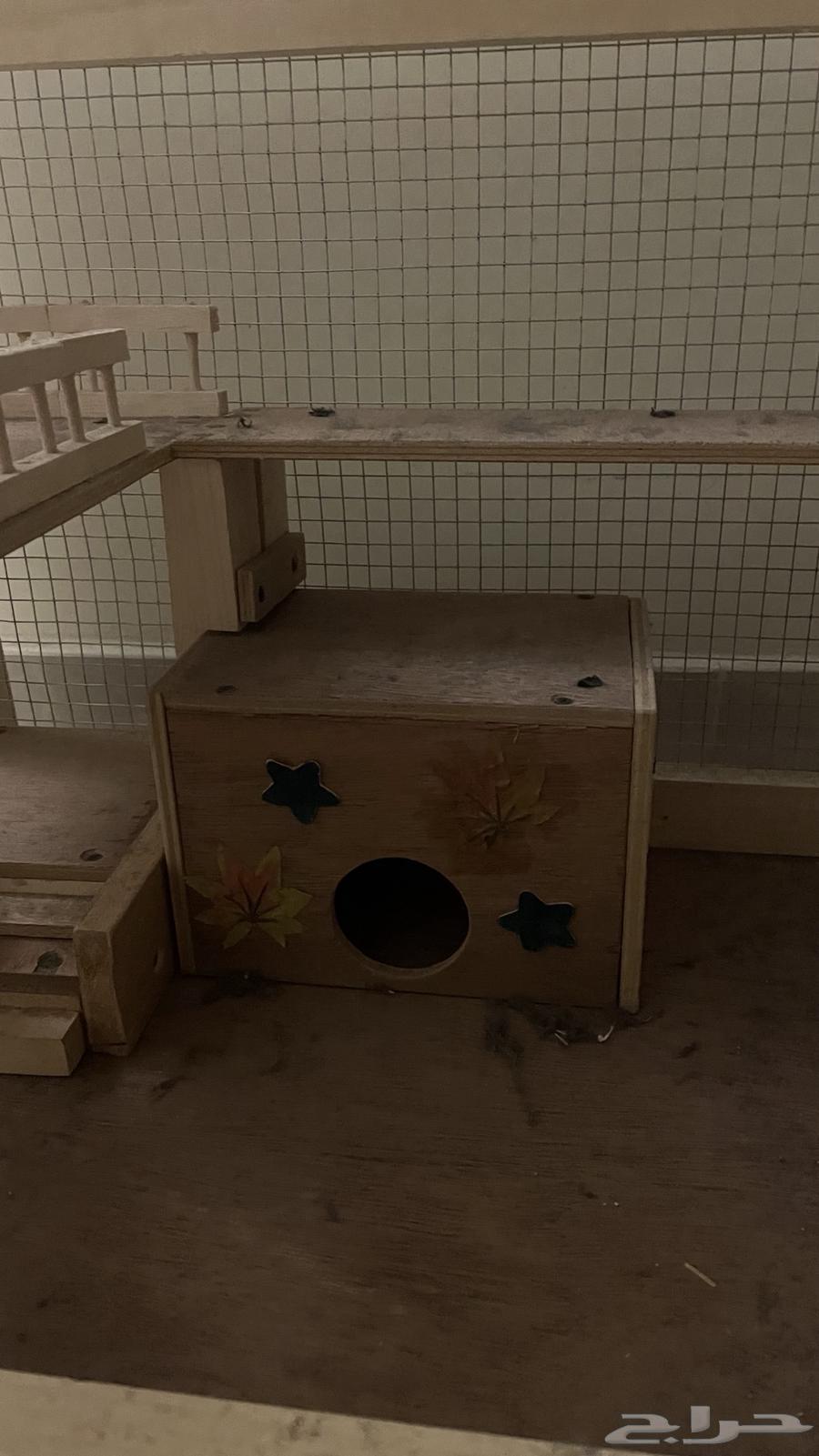 قفص بيت حيوانات اليفه - خشب اصلي شغل يدوي64469921015938112