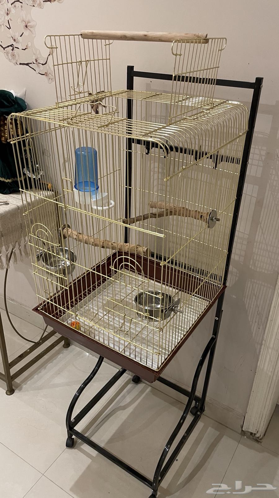 قفص طيور للبيع64469571685249112