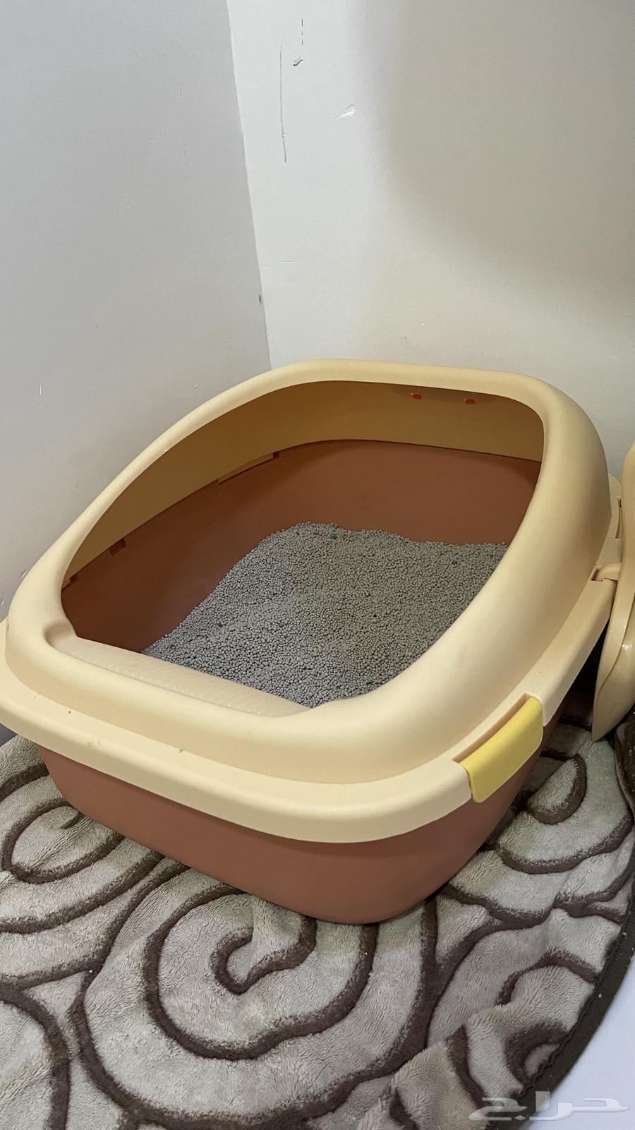 قطه للبيع على السوم64468722224513114