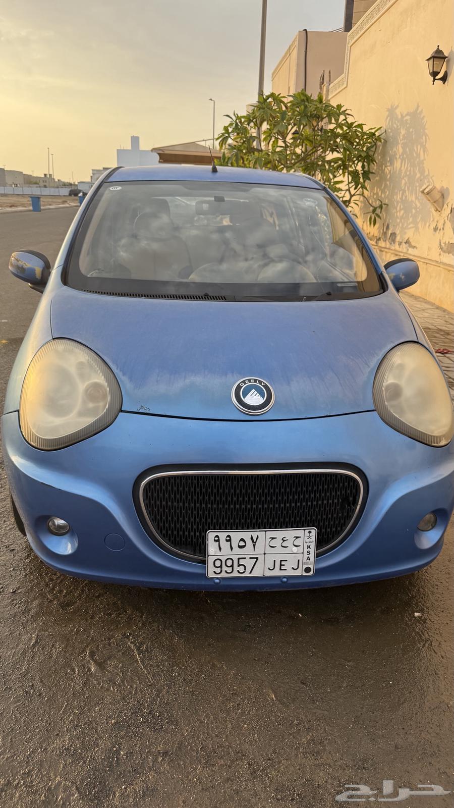 جيلي باندا للبيع64634709893250110