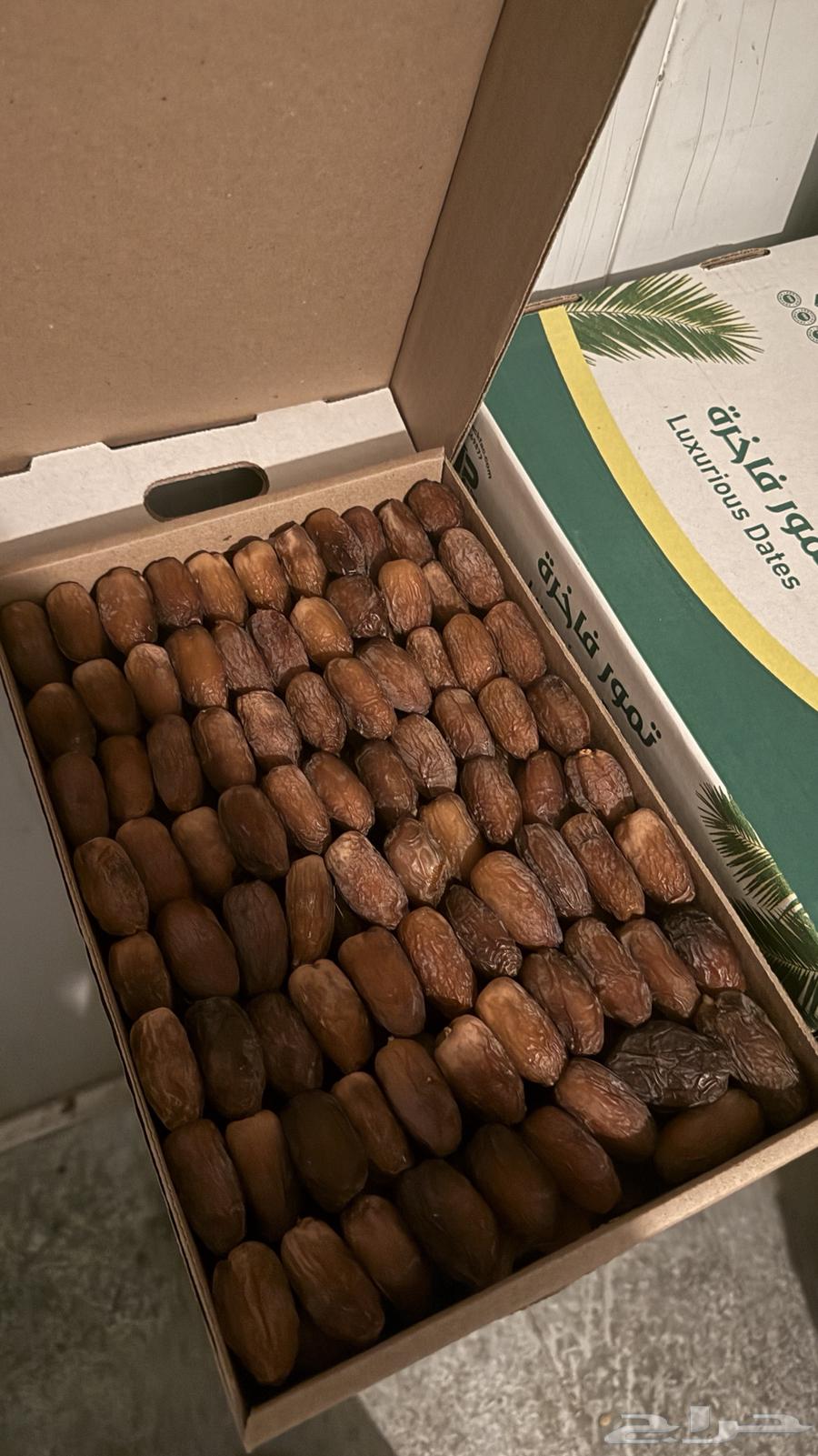 Medjool dates64469641183235114