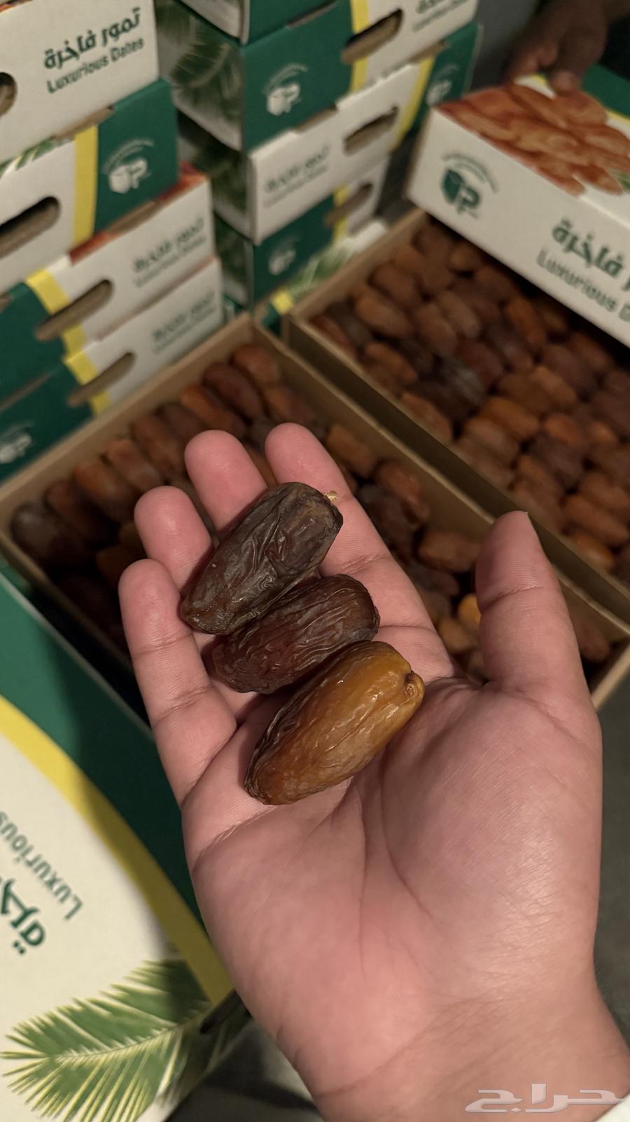 Medjool dates64469641183235113