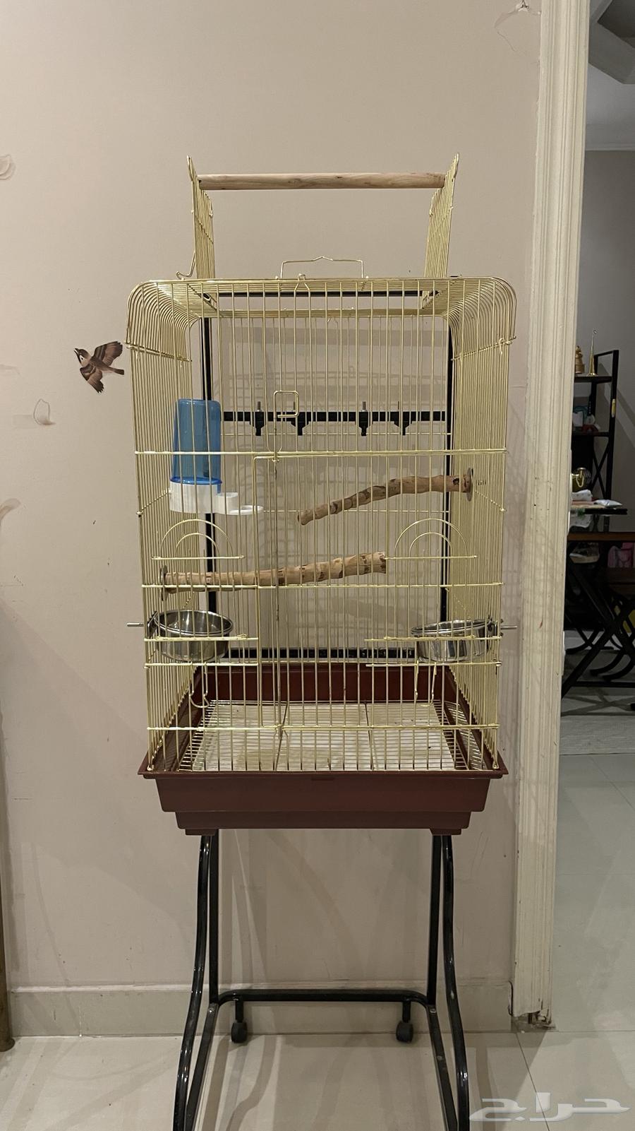 قفص طيور للبيع64469571685249113