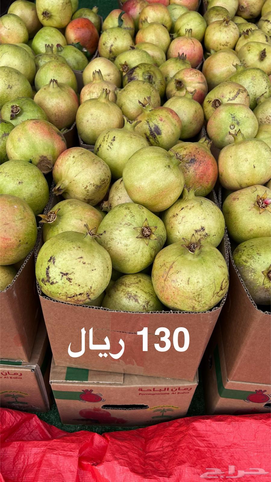 Baha's Pomegranate64466989413634112