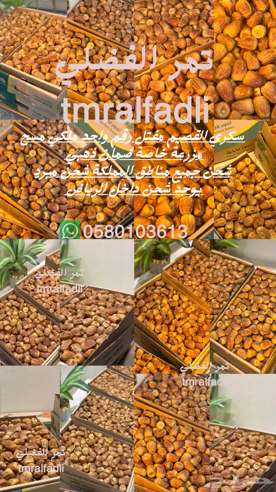 Al-Qassim Royal Sukkari Dates, Directly Harvested from the Farm64468754136833110