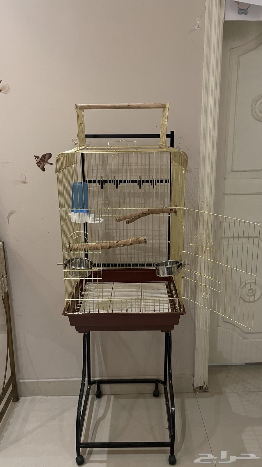 قفص طيور للبيع64469571685249110