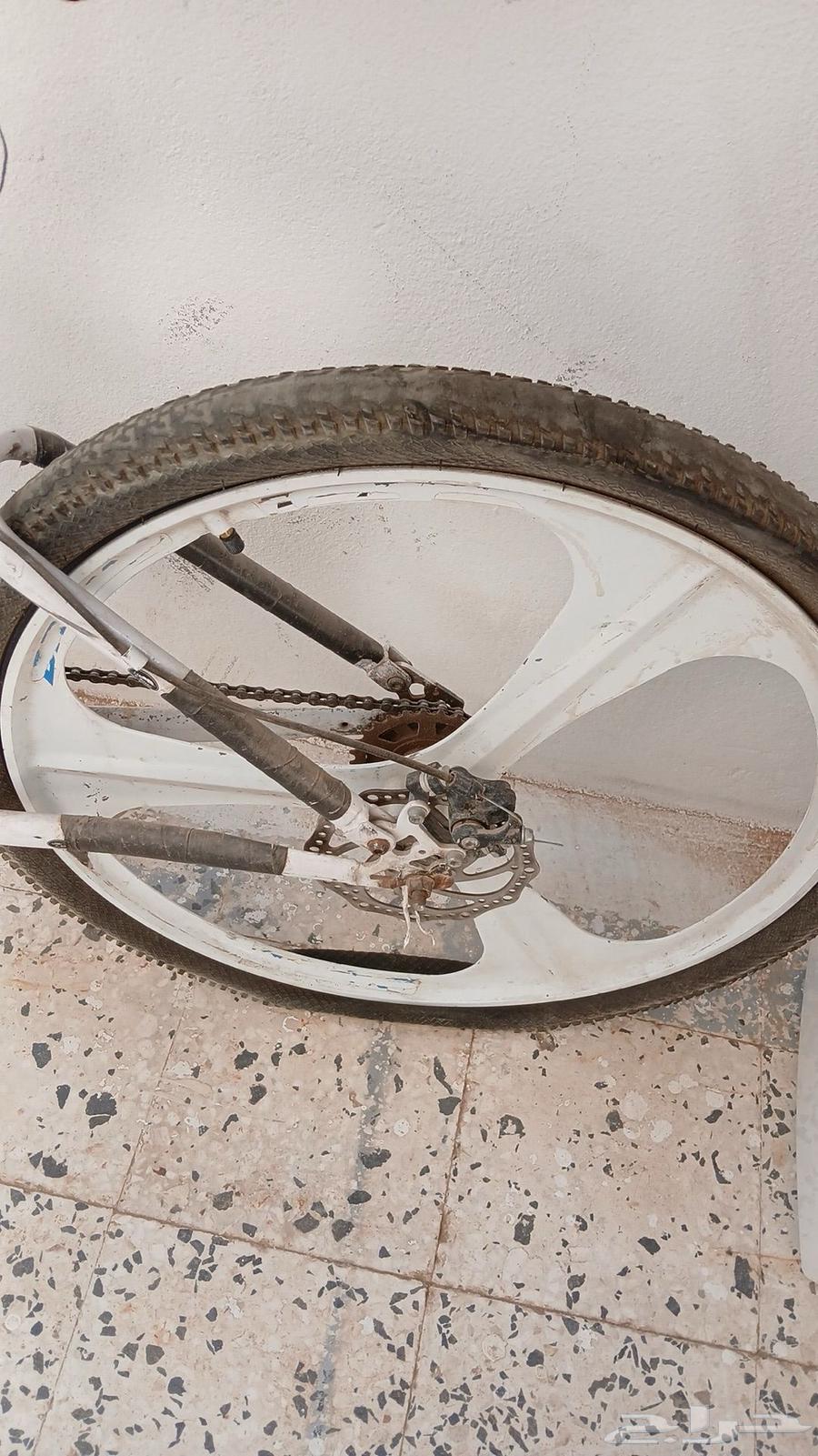 Sikl Turk64467577872643111