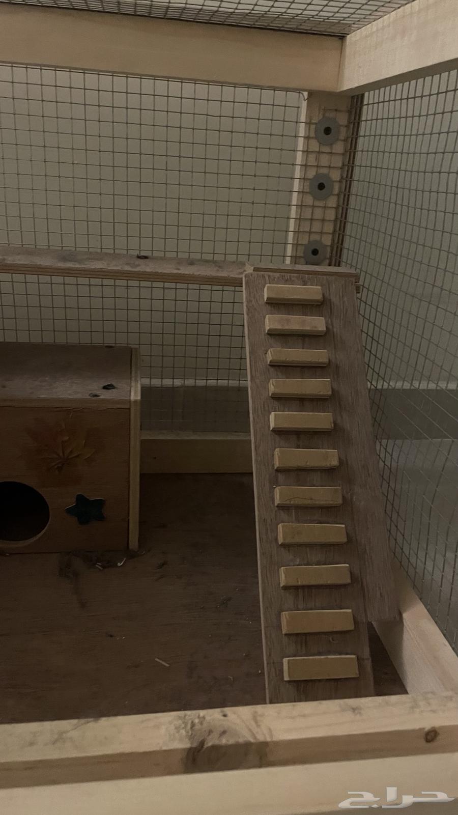 قفص بيت حيوانات اليفه - خشب اصلي شغل يدوي64469921015938113