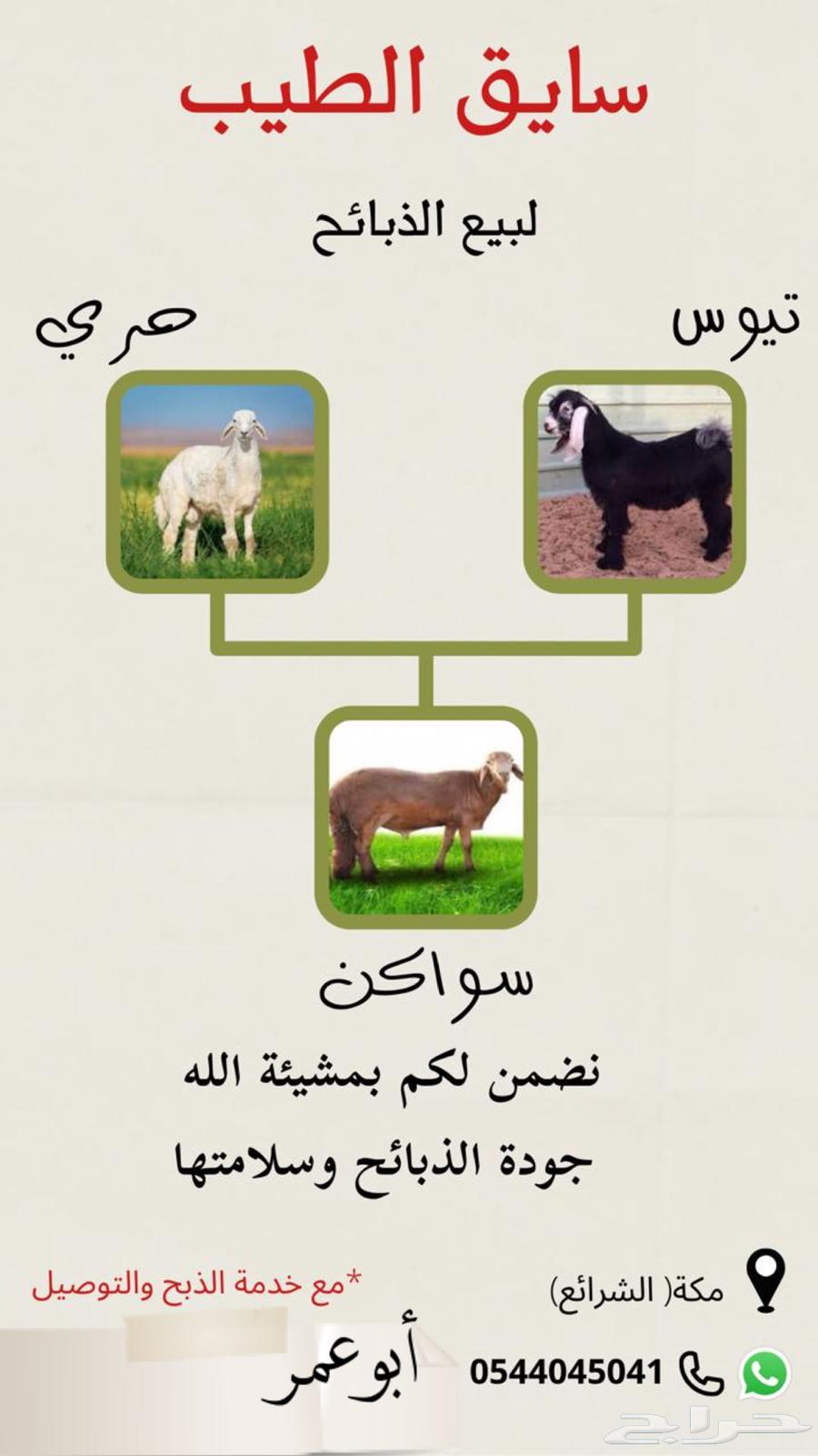 Freedom Slaughters64466123025667111