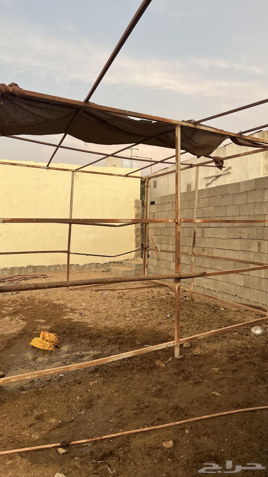 Horse display frame64468650407425110