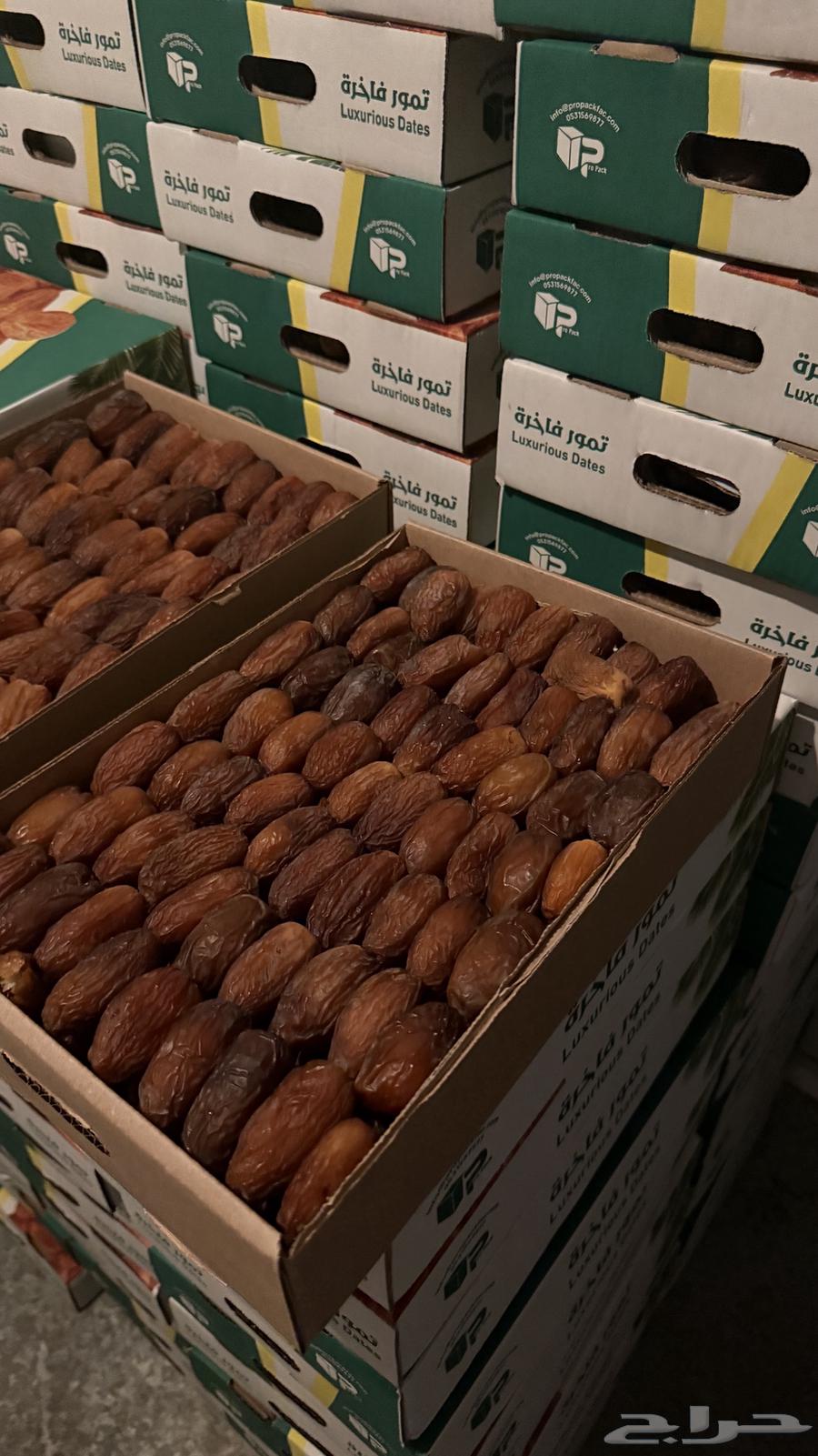 Medjool dates64469641183235111