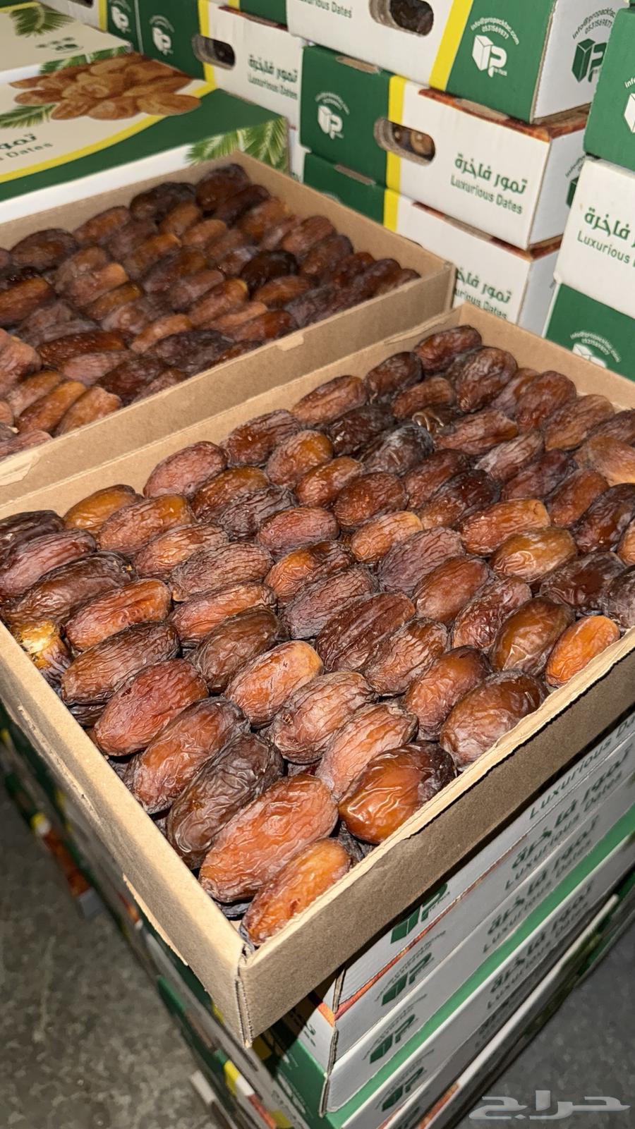 Medjool dates64469641183235112