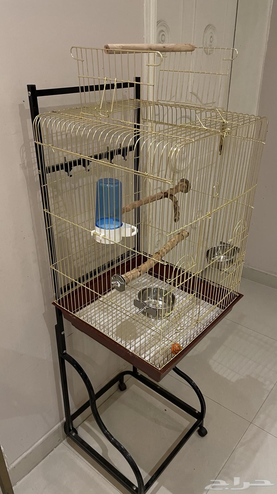 قفص طيور للبيع64469571685249111