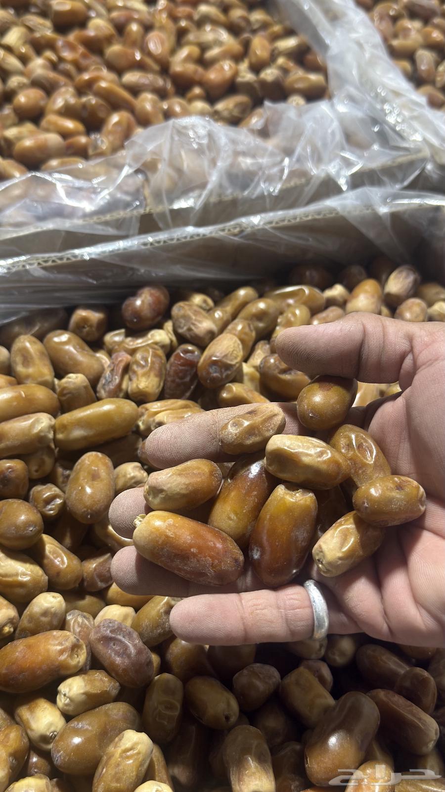 Mawakil Dates64470842211203111