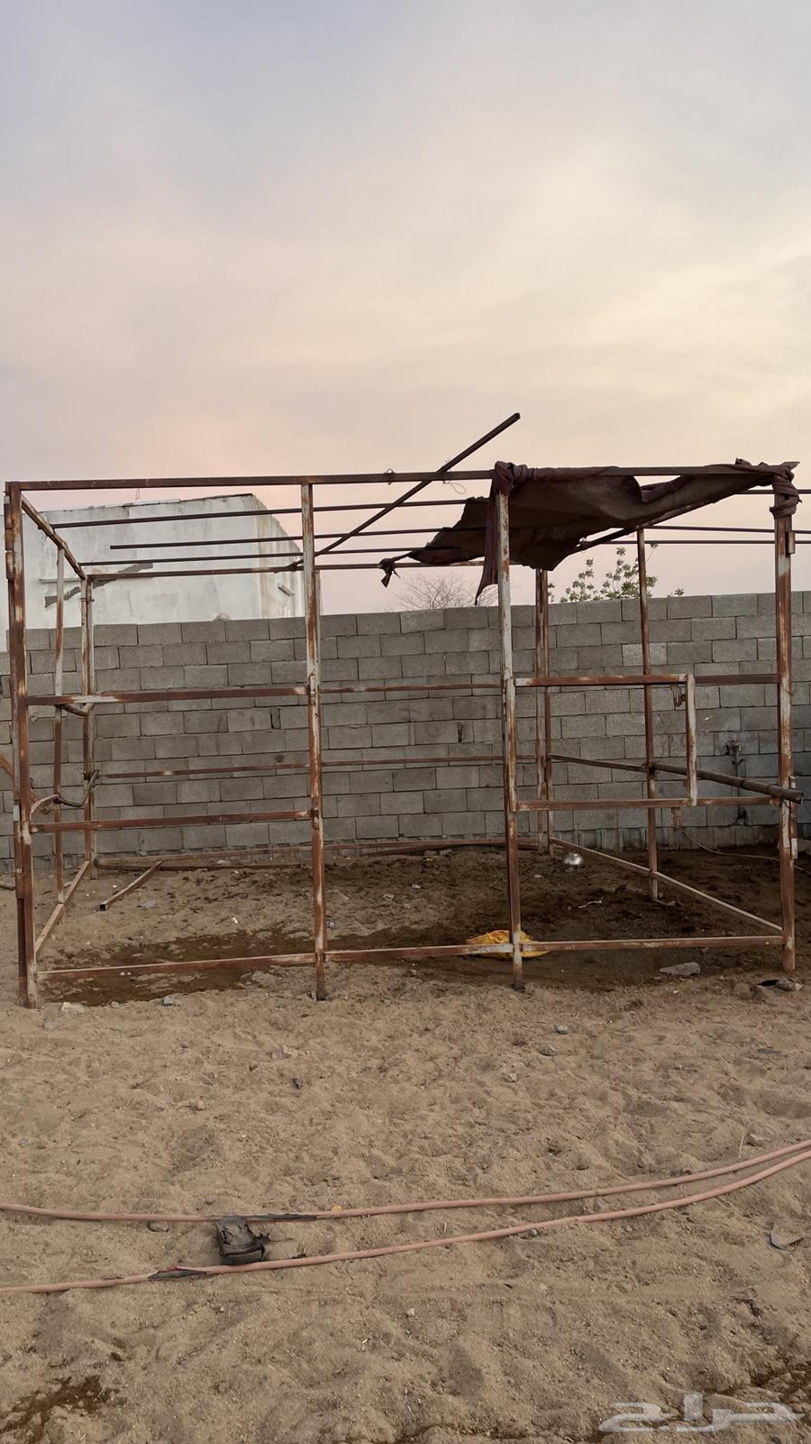 Horse display frame64468650407425112