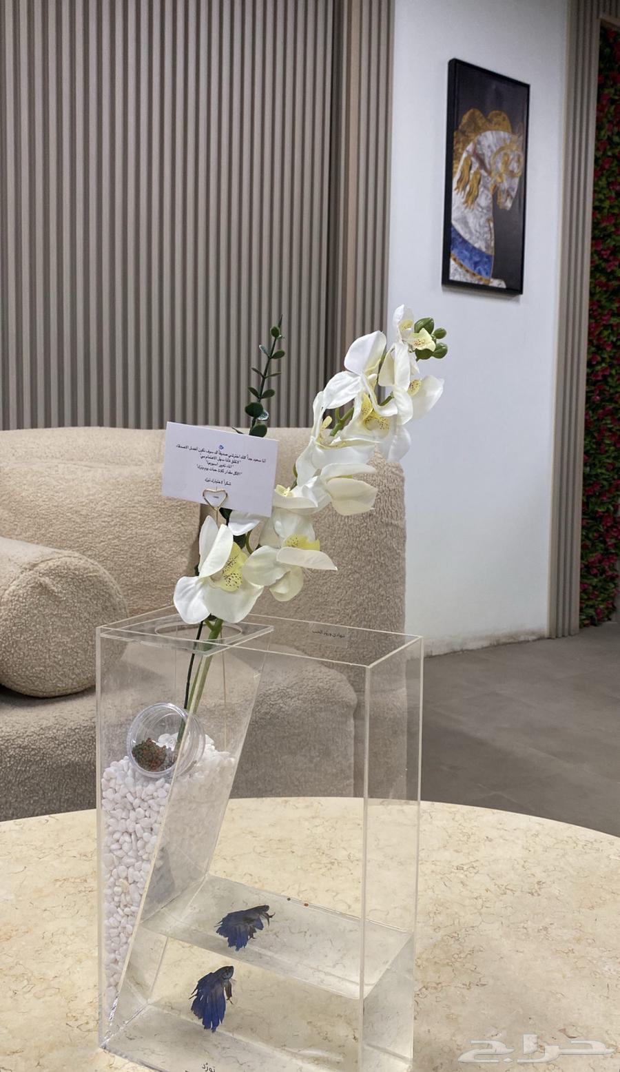 فازات اكريلك 10 حبات موجوده للتواصل64471512615169112