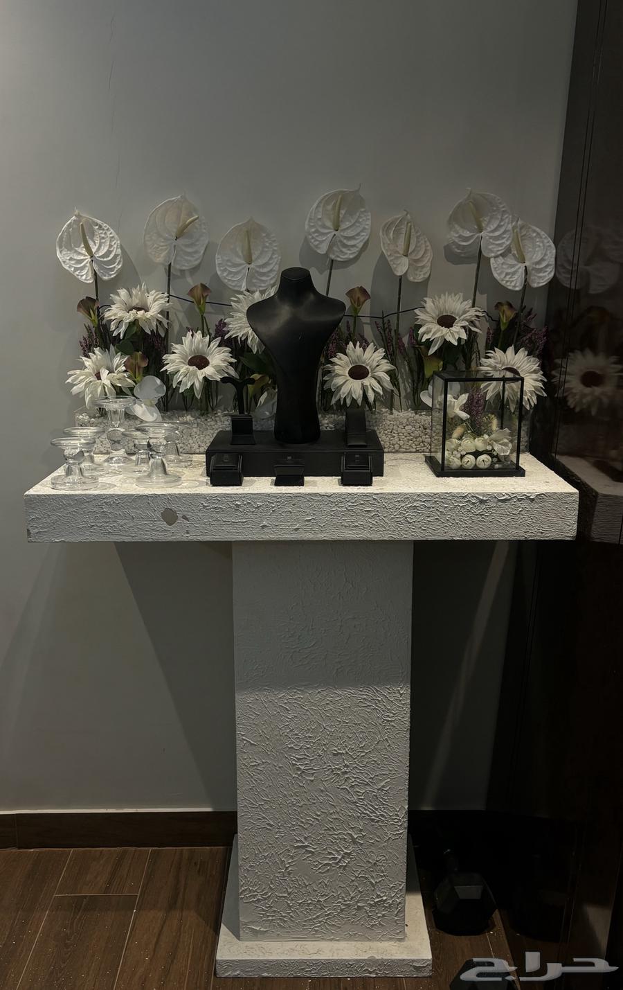 Queen's Network Stand64484362051329110