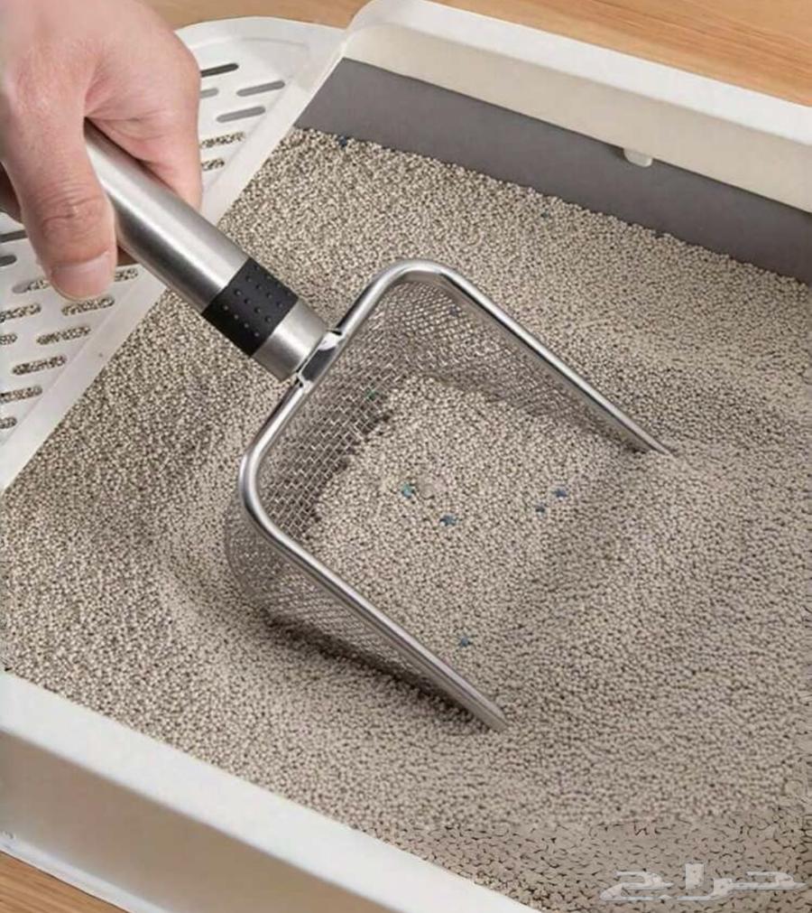 للبيع مغرفه قطط64464674311426112