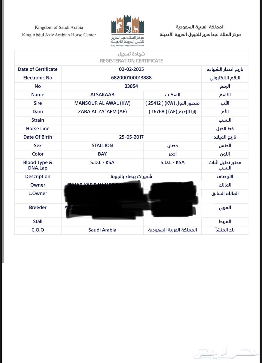 حصان واهو للبيع64470979690243114