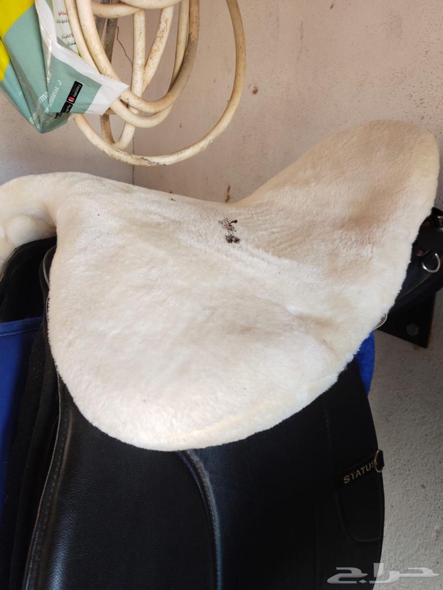 عدة ركوب خيل للبيع sold out64466905373955114