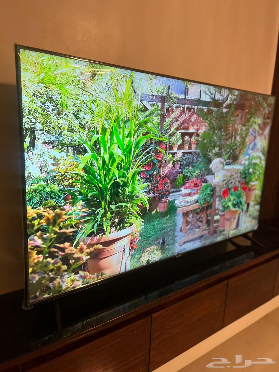 شاشة بلازما تلفزيون 65 بوصه64467256828803111
