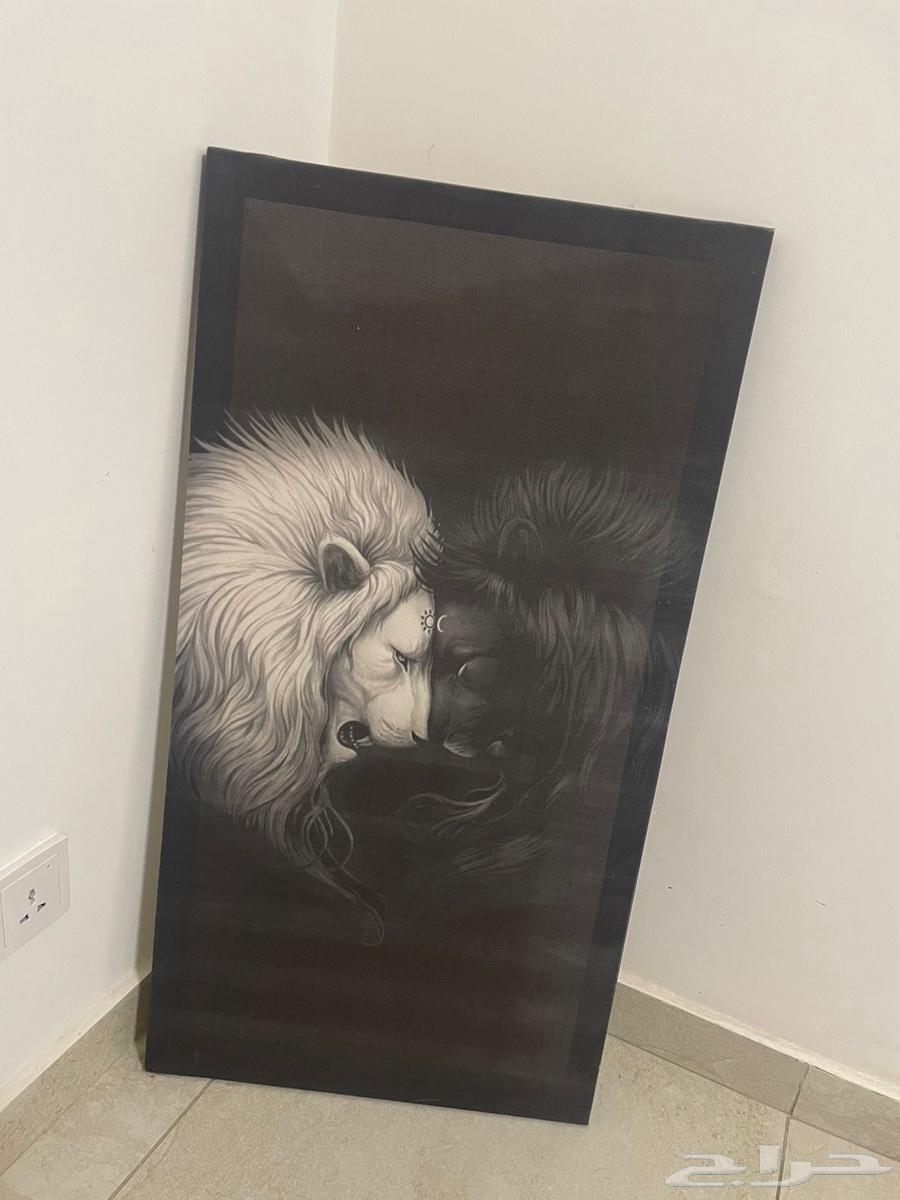 عفش بيت جديد ومرتب64469543876611112