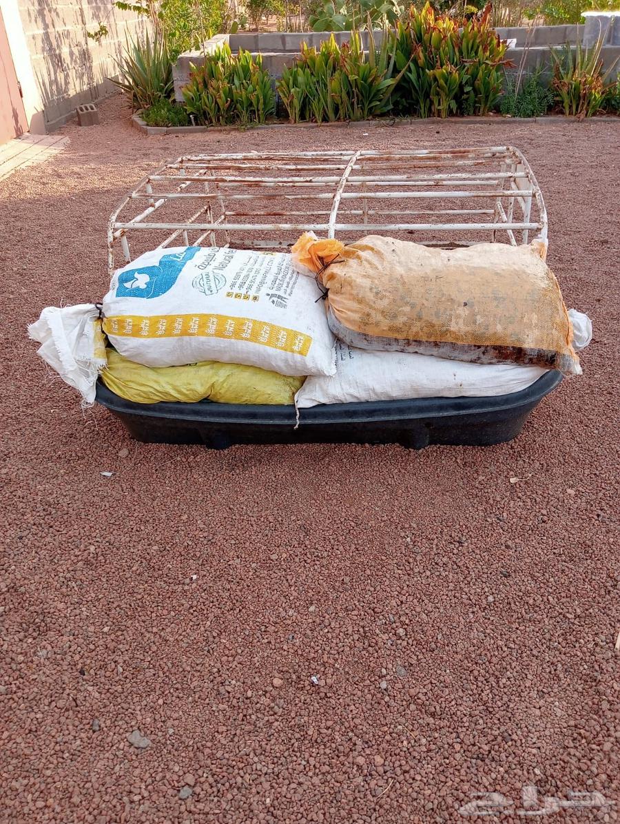 بقايا تمر للبيع64410362411394112