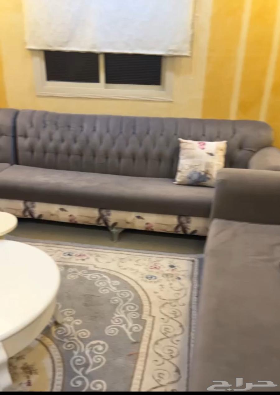 Sofa64467746603779112