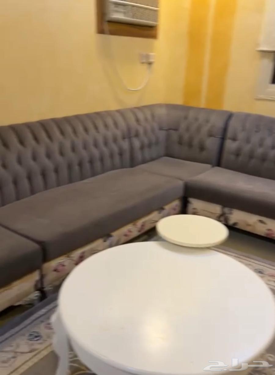 Sofa64467746603779111