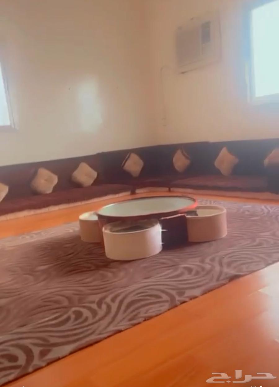 كنب للبيع64465618883331110