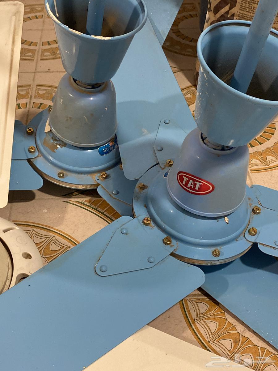 Ceiling Fans 11064471348474627110