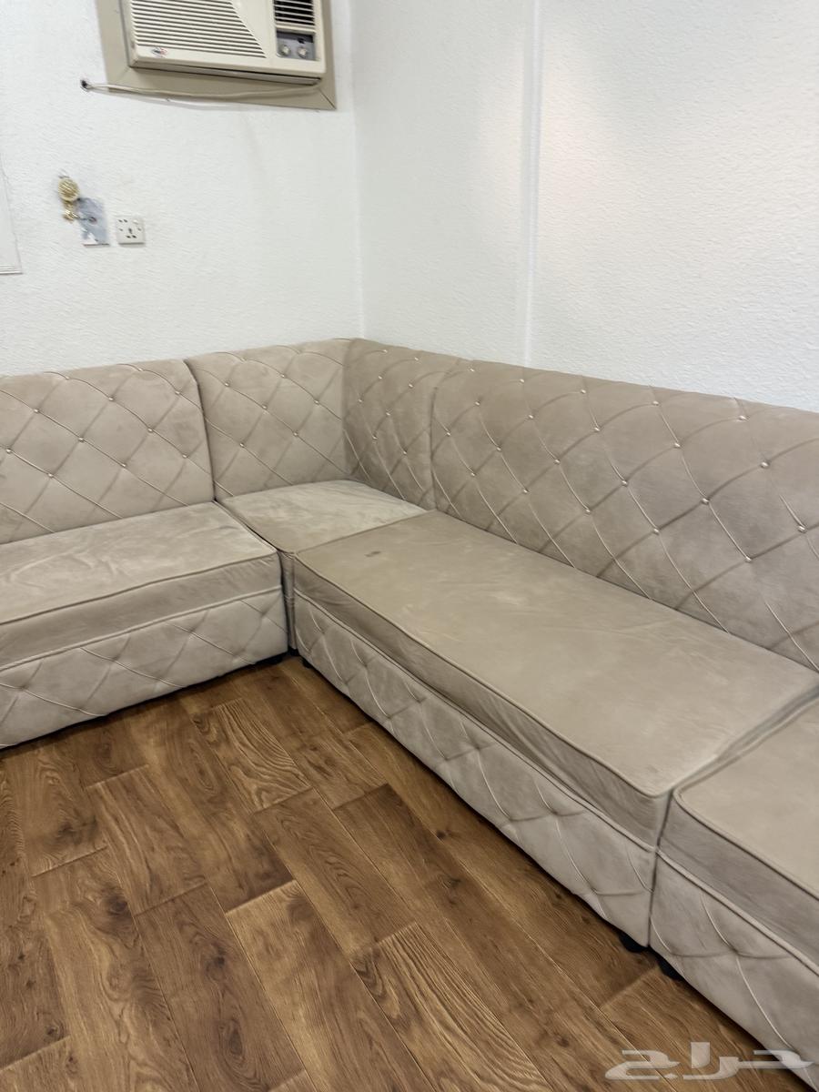 Clean and attractive sofa64465828998145113