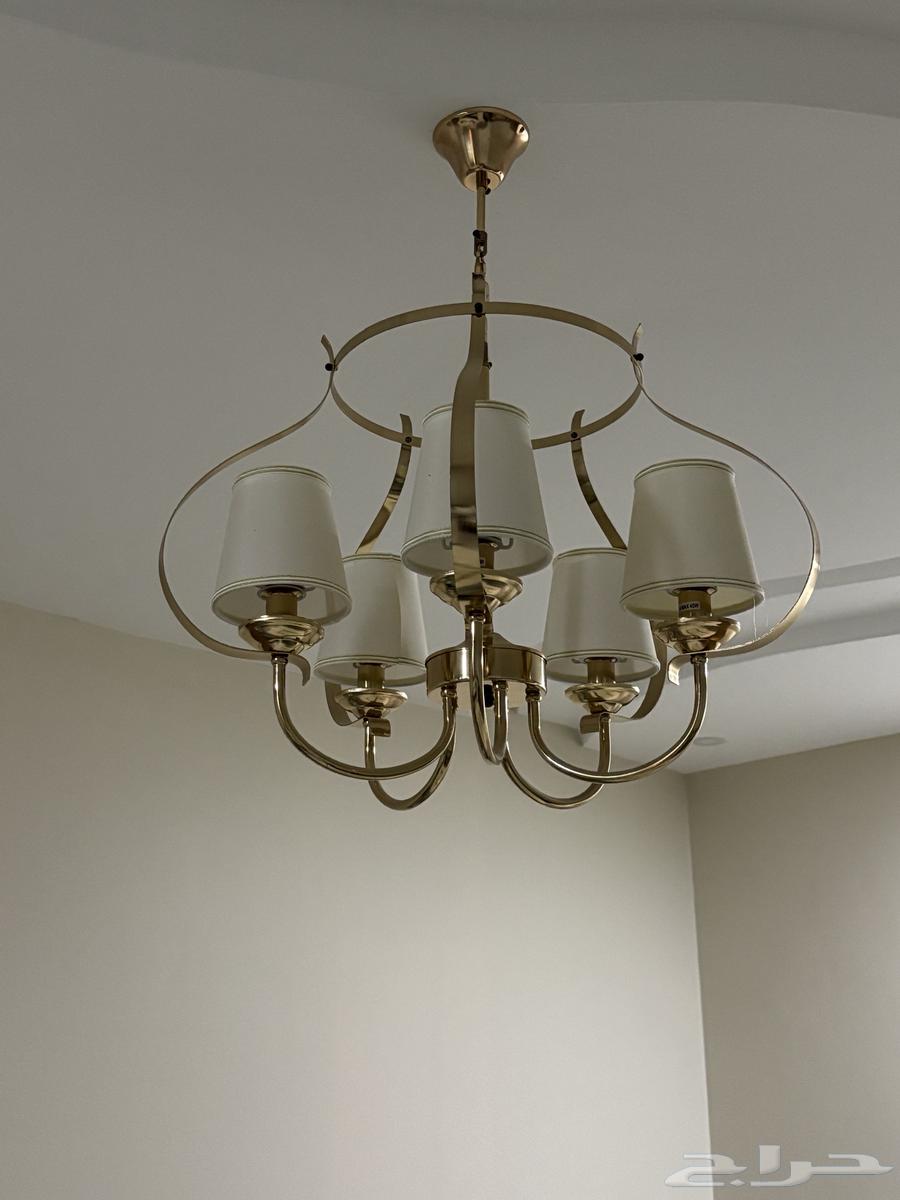 كنب مجلس كامل مع طاولات ونجفة وسجادة64470251192449113