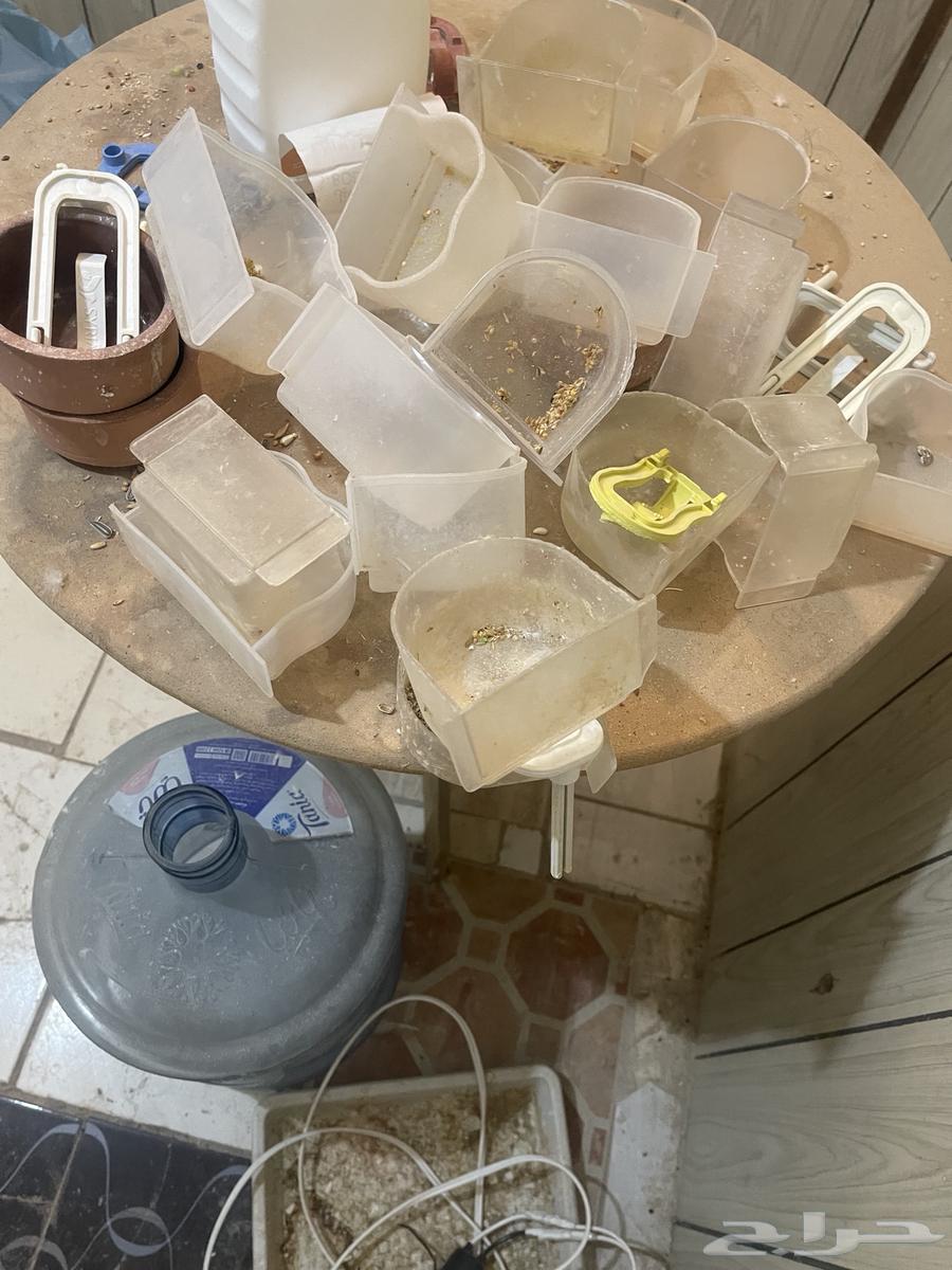 Cages for sale in excellent condition64469865045379112